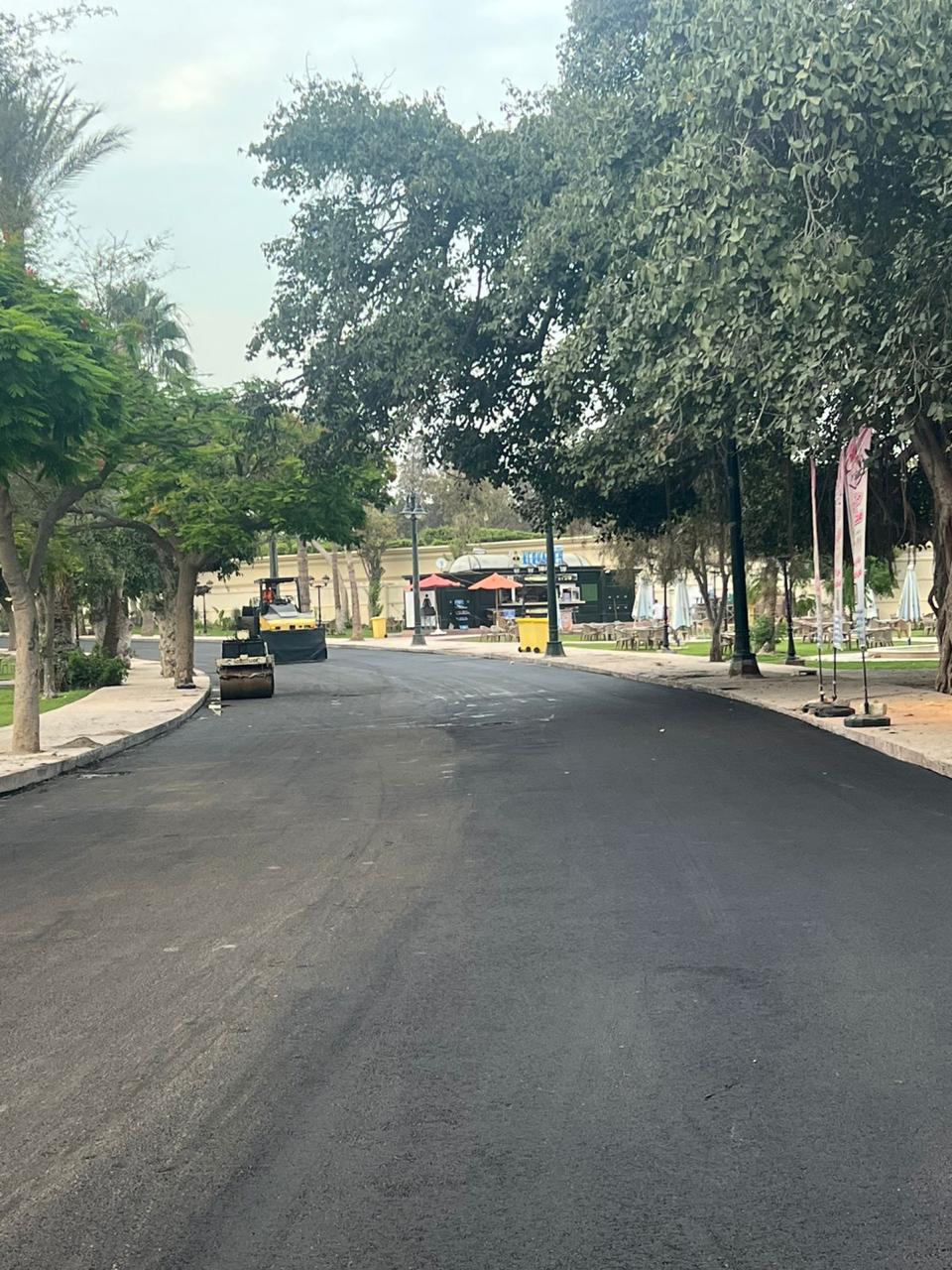Garden road and landscape development